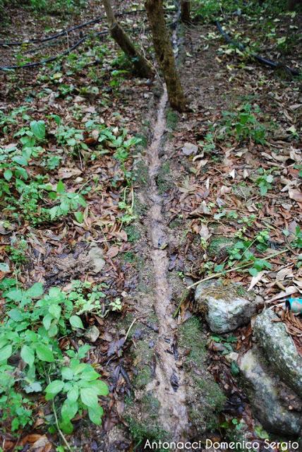 TREKKING - La Valle dei Mulini a Vico del Gargano