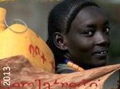 Cooperazione volontariato internazionale Italia numeri richiedono trasparenza