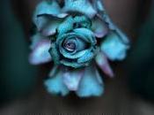 letture Recensione: “Ancora respiro” Kimberly Derting