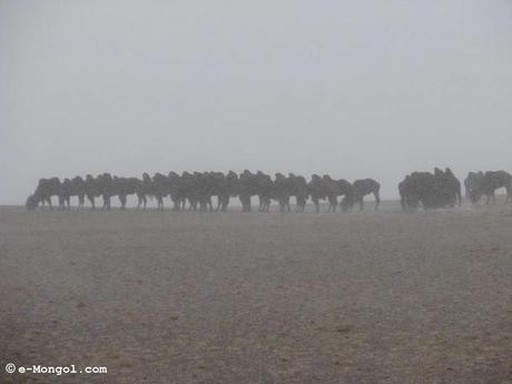 INVERNO DI PIOMBO PER LA MONGOLIA