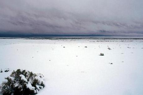 DRAMMATICA ONDATA DI FREDDO E NEVE INVESTE LA MONGOLIA