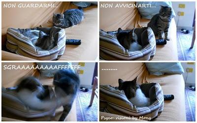 DI GATTI & C. ....