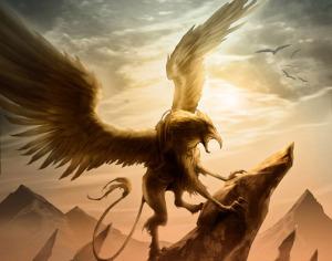 Griffon