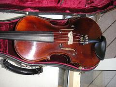 violin