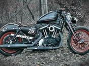 Sporty springer special MetalBike