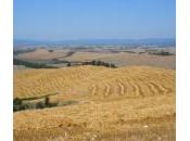 calanchi biancane Leonina nelle Crete Senesi