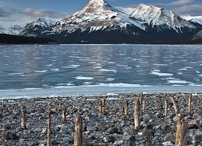 Abraham Lake e le spettacolari bolle di ghiaccio