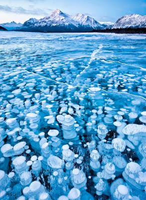 Abraham Lake e le spettacolari bolle di ghiaccio