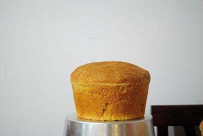 Panettone gastronomico