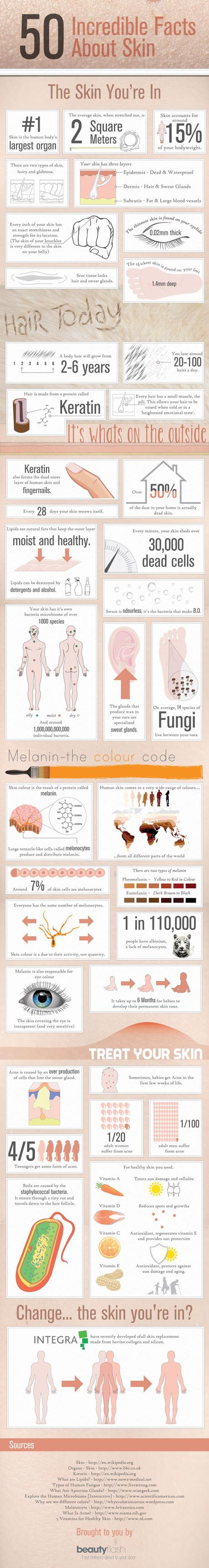 Curiosità sulla Pelle - Medical Infographic