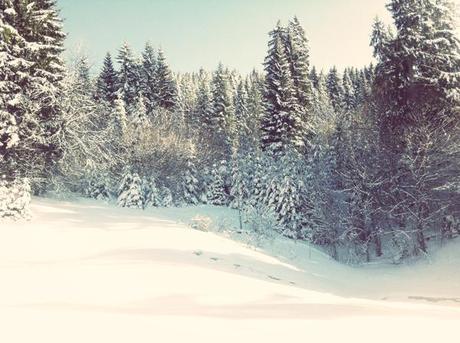 La favola della neve