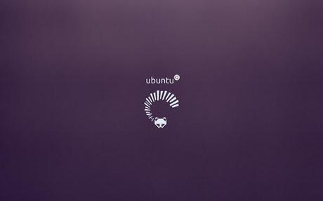 10 wallpapers per Ubuntu 13.04 “Raring Ringtail”