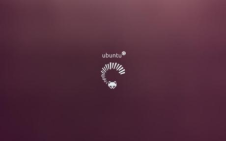 10 wallpapers per Ubuntu 13.04 “Raring Ringtail”