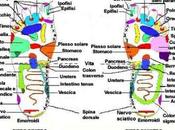 buona scarpa favorisce regolarità intestinale