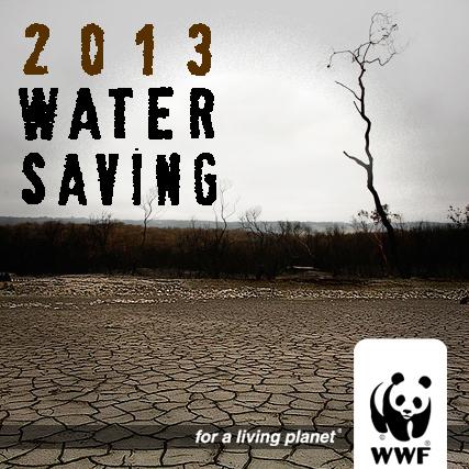 2013_watersaving