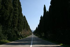 Viale dei cipressi di Bolgheri a Castagneto Carducci