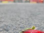 Casteldaccia: ucciso Pietro Perillo?