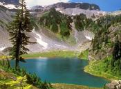 Propositi nuovo anno