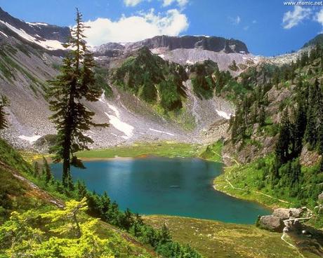 Propositi per il nuovo anno