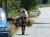 Corfù ... a different kind of Greek island