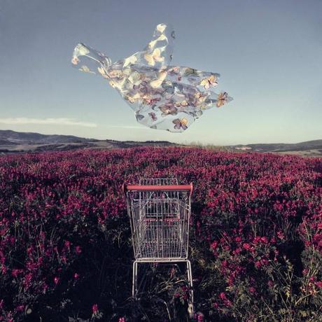 Stefano Parrini - Land Market