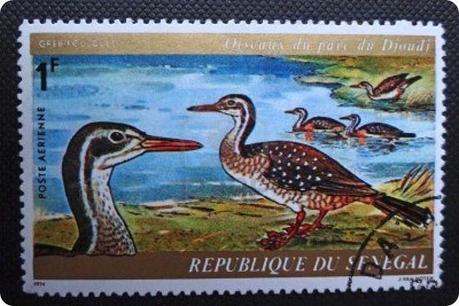 djoudj-au-senegal francobollo