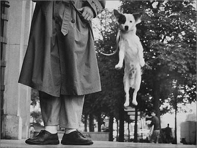 The others - Let me introduce you Elliott Erwitt