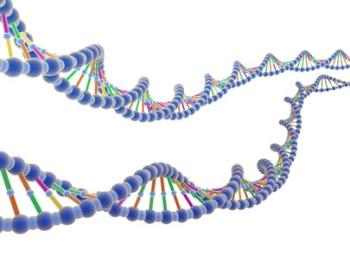 Le nuove fron­tiere della geno­mica-come usare il cibo per riparare il nostro fisico