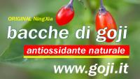 Muffin morbidi Bio con Bacche di Goji