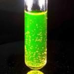 Un catalizzatore al cobalto per la produzione di idrogeno