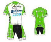 bardiani2013