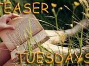 TEASER TUESDAYS... (EPISODIO lettrice fiori" Elizabeth Loupas "L'isola dell'amore proibito" Tracey Garvis Graves