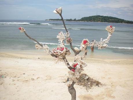 Gili Island: tutto non è come sembra!