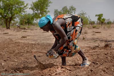 La carestia non è una dieta. La LVIA in aiuto del Sahel