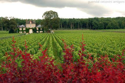 BURGUNDY INSPIRATION