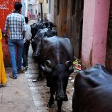 Viaggio nella mistica Varanasi sulle rive del Gange