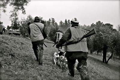 la battuta di caccia al cinghiale