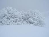 Abbondanti nevicate sull'appennino tosco-emilian