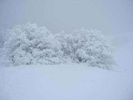 ABBONDANTI NEVICATE SULL'APPENNINO TOSCO-EMILIAN