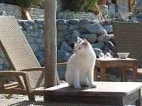 Two glasses of white wine in Greece