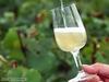 Champagne dolce