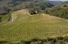 Piemonte