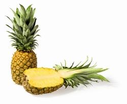 coltivazione ananas2