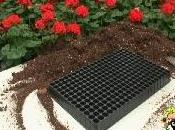 Semina contenitore multiforo