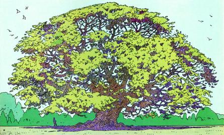 moebius tree