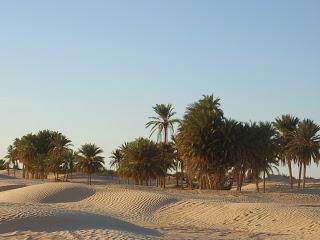 Ancora sulle esperienze di pre-morte (NDE) - 3^ parte