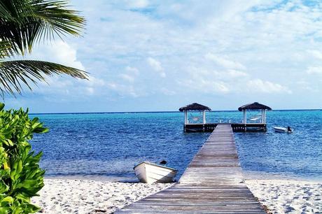Le Cayman pronte a rinunciare alla segretezza dei conti segretezza paradiso fiscale paradiso isole cayman esteri Economia cayman 