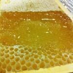 Il favo una volta aperto, pieno di miele purissimo