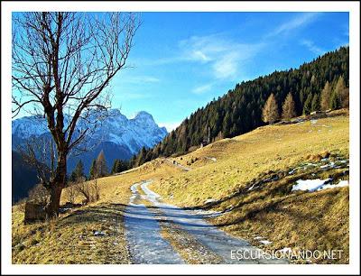 STAIPO DA CANOBIO COLLINA DI FORNI AVOLTRI