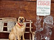 Canada Winter Wedding Rustic chic